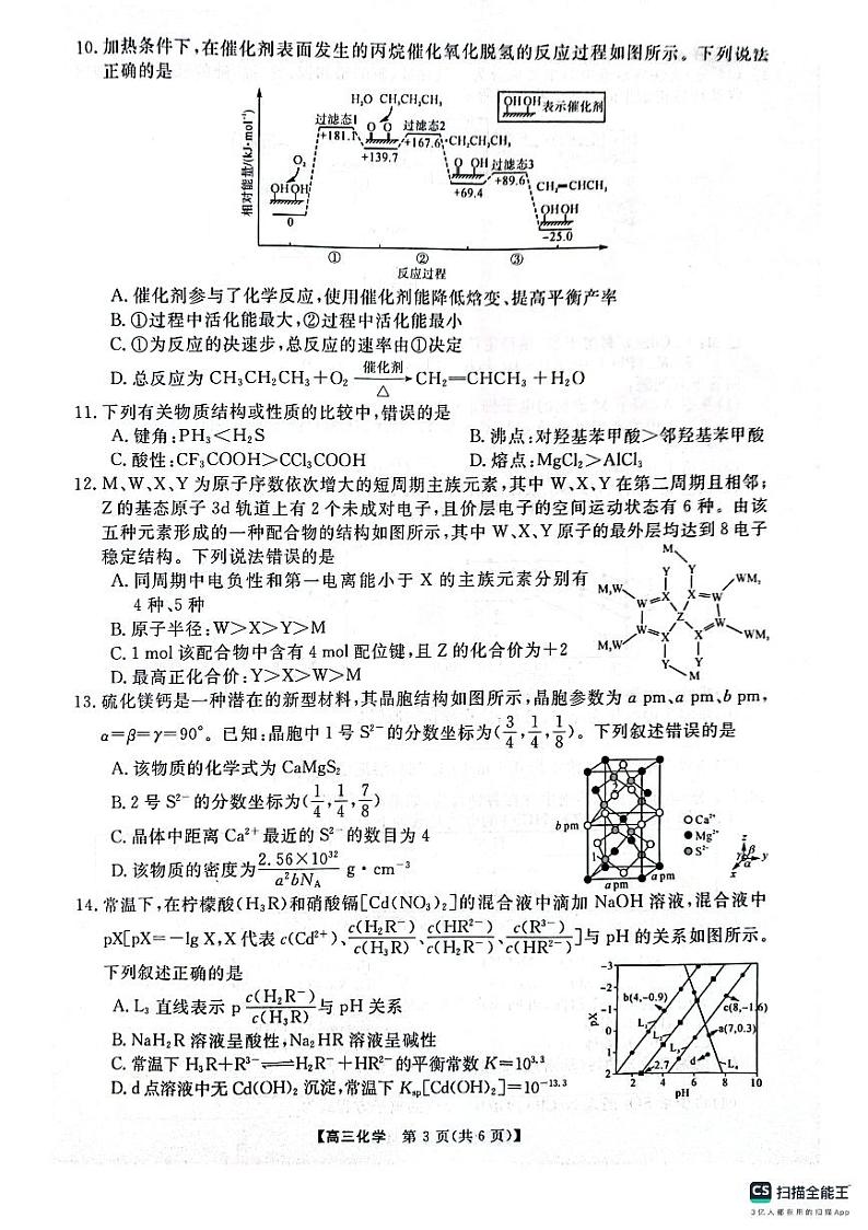 河南省名校联盟2024-2025学年高三上学期12月联考化学试卷（PDF版附解析）第3页