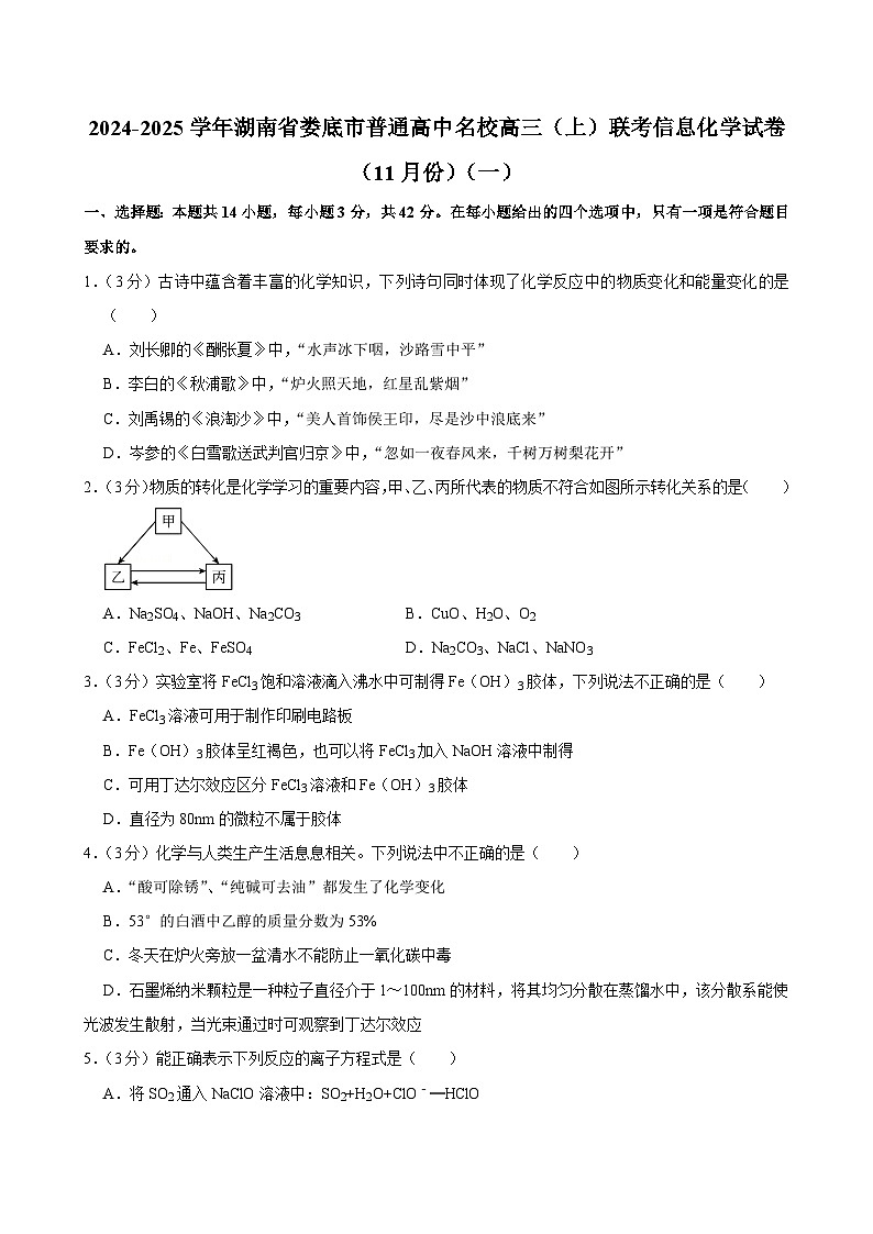 2024-2025学年湖南省娄底市普通高中名校高三（上）联考信息化学试卷（11月份）（一）第1页