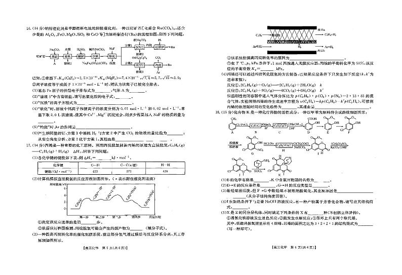 2025届三新协同教研共同体高三12月联考化学试题（含答案）第3页