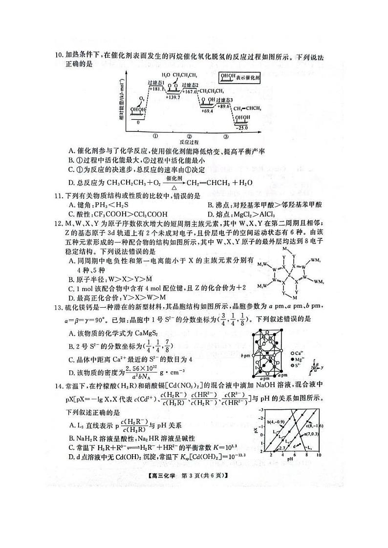 河南省华师联盟2025届高三上学期12月质量检测考试-化学试卷+答案第3页