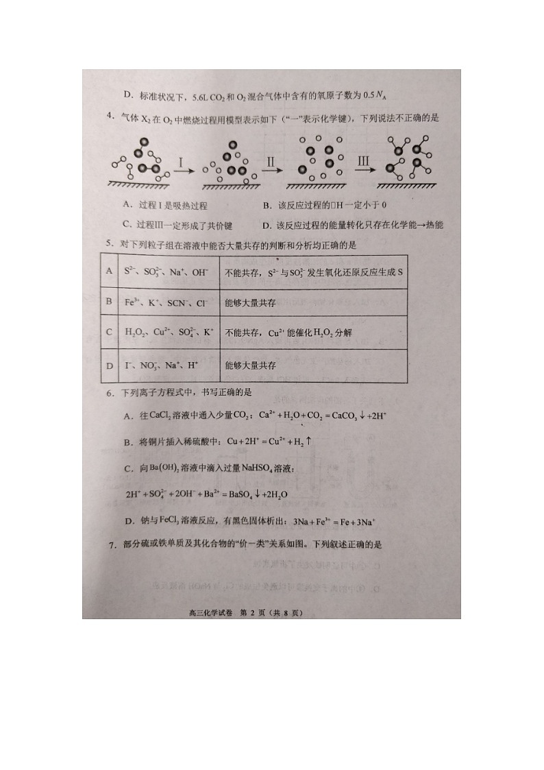 天津市2023_2024学年高三化学上学期期中试题pdf第2页