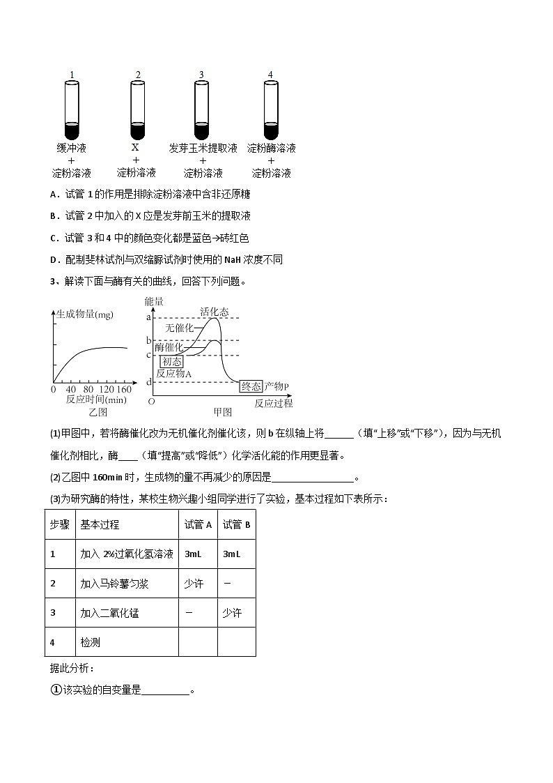 【寒假衔接讲义】人教版 高中生物 高一寒假 第03讲 降低化学反应活化能的酶（学生版）第3页