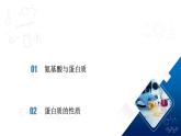 人教版（2019）高中化學(xué)必修二7.4.2 蛋白質(zhì) 課件