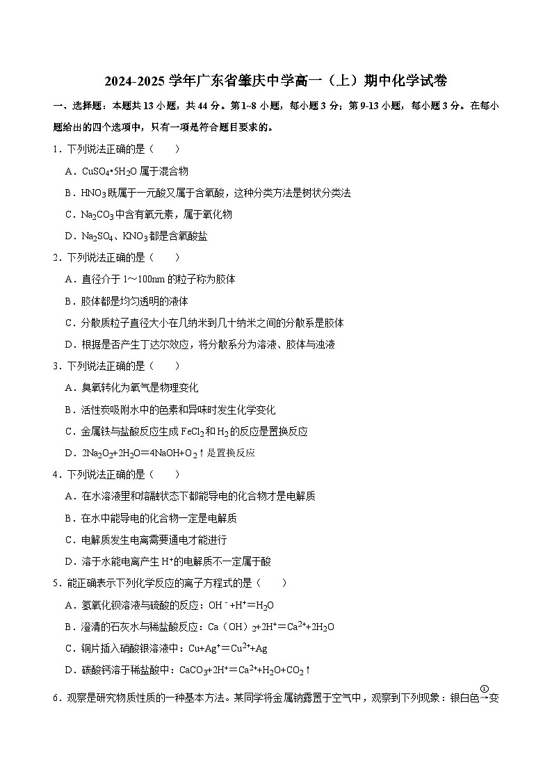 2024-2025学年广东省肇庆中学高一（上）期中化学试卷第1页