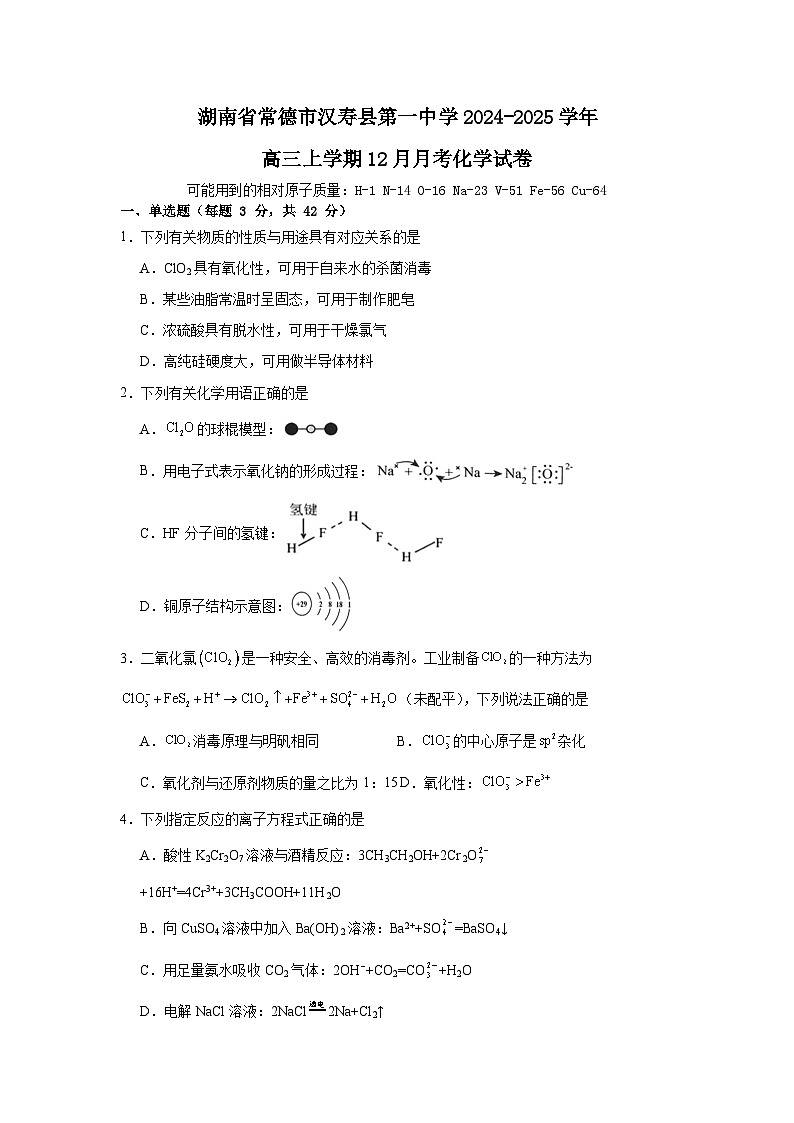 湖南省常德市汉寿县第一中学2024-2025学年高三上学期12月月考化学试卷（Word版附解析）第1页
