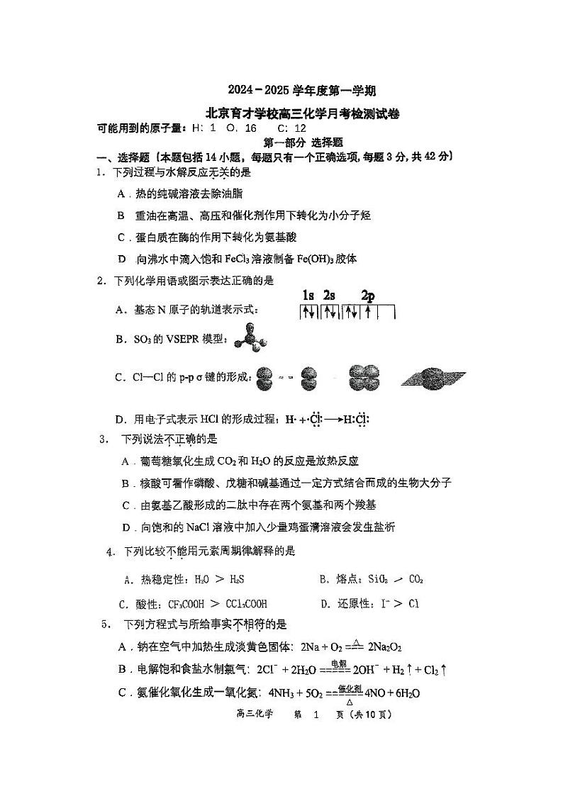 2024北京育才学校高三（上）12月月考化学试卷第1页