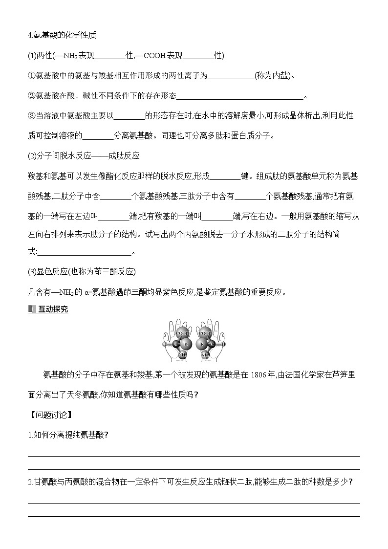 6.2 蛋白质 学案-2024-2025学年高二下学期化学苏教版（2019） 选择性必修3第2页