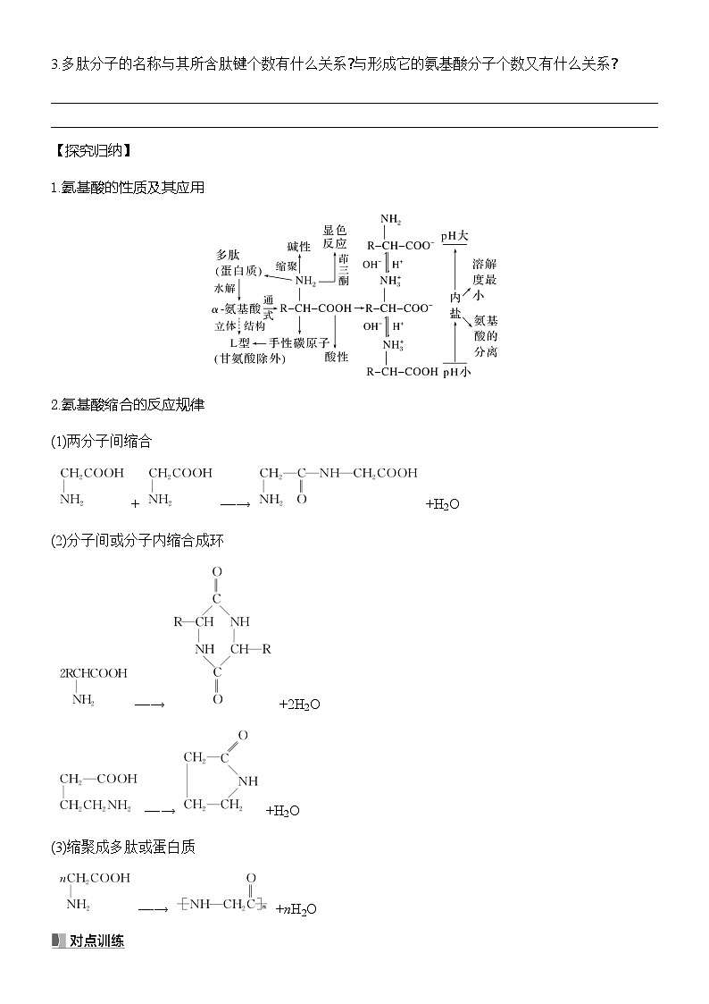 6.2 蛋白质 学案-2024-2025学年高二下学期化学苏教版（2019） 选择性必修3第3页