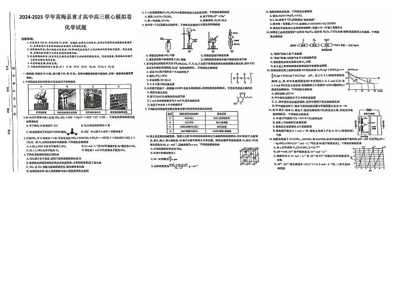 湖北省黄冈市黄梅县育才高级中学2024-2025学年高三核心模拟预测化学第1页