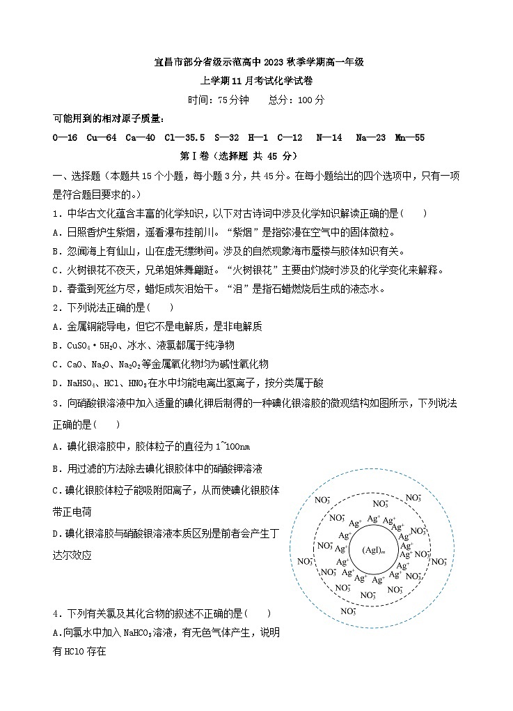 湖北省宜昌市2023_2024学年高一化学上学期11月月考试卷第1页