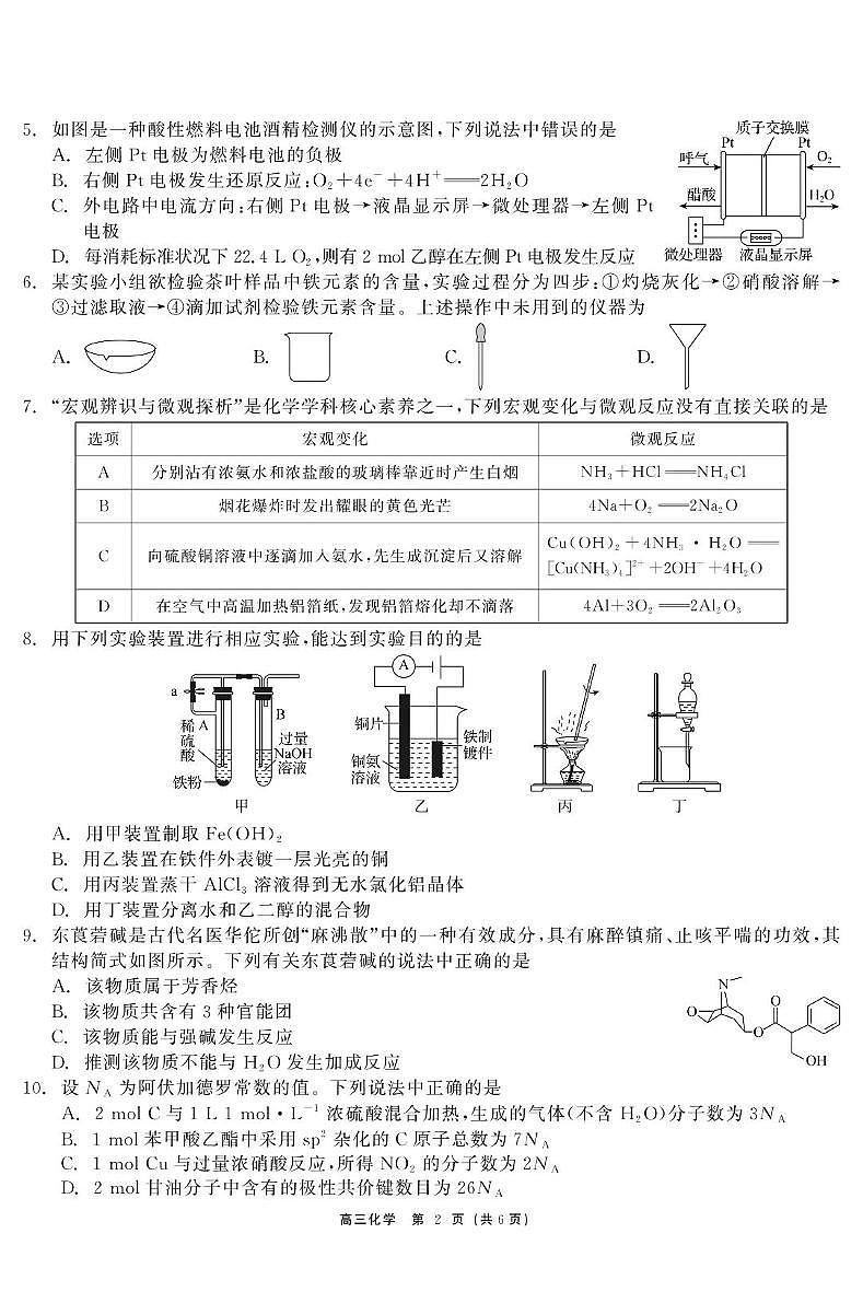 广东省深圳外国语学校2024-2025学年高三上学期第四次月考化学试题第2页