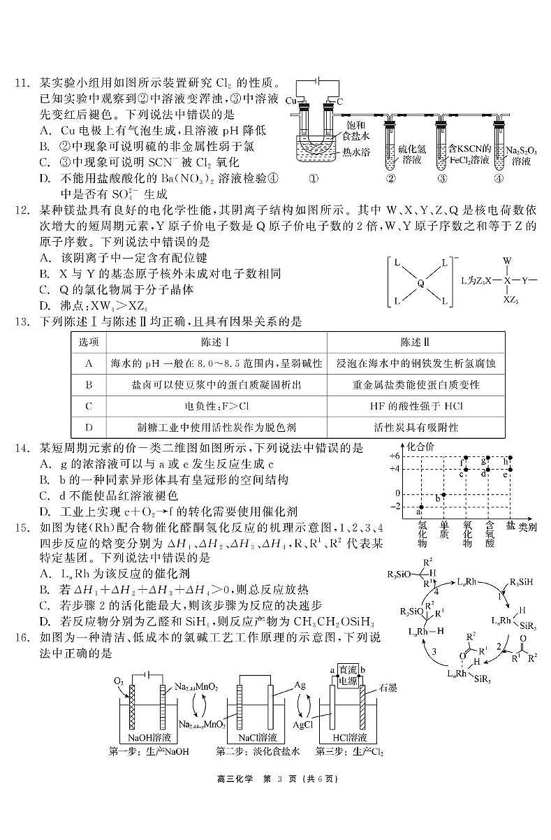 广东省深圳外国语学校2024-2025学年高三上学期第四次月考化学试题第3页