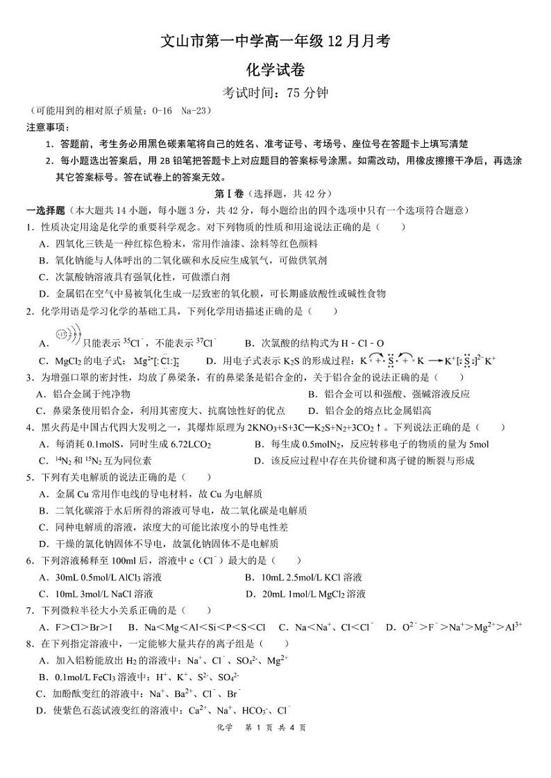 云南省文山市第一中学2024-2025学年高一上学期12月月考+化学试题第1页