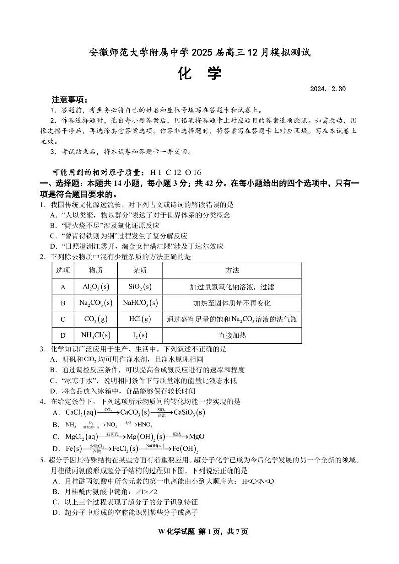 安徽师大附中2025届高三12月月考化学试题第1页