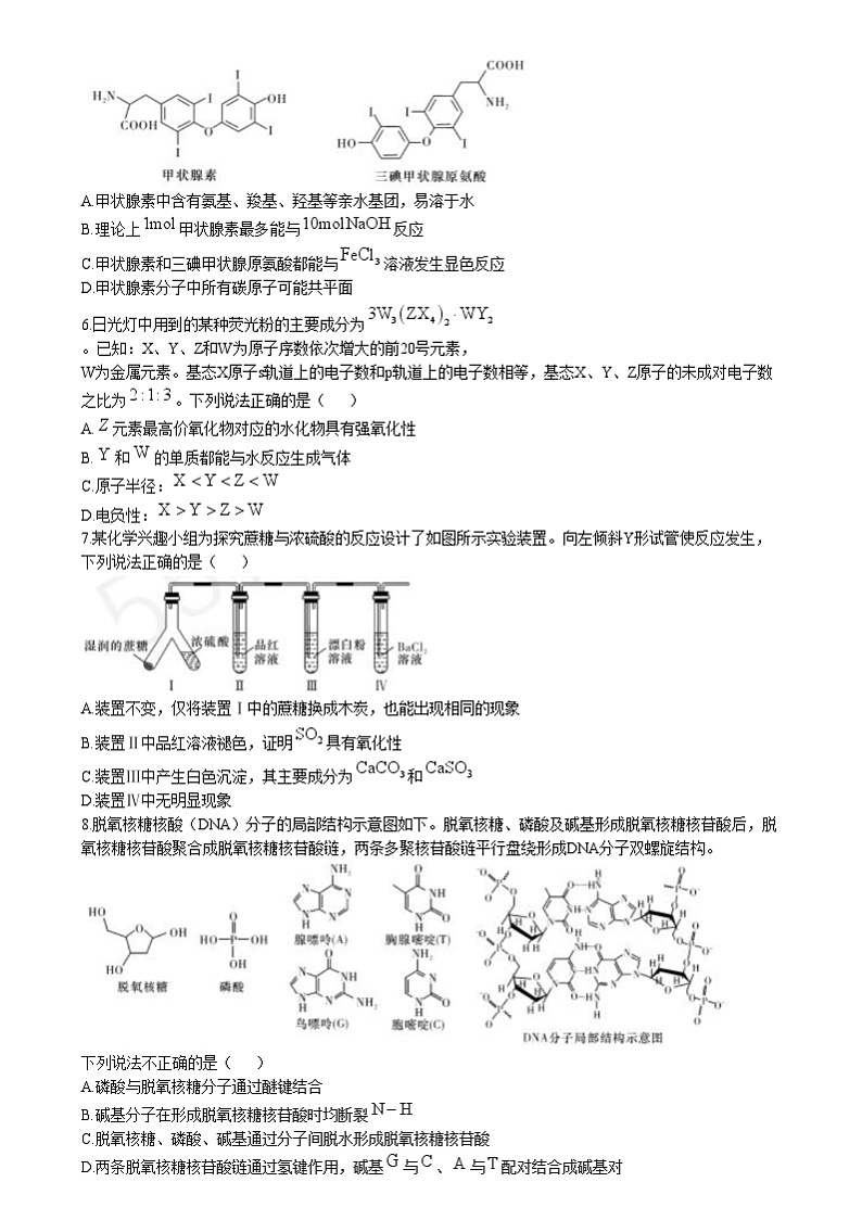 湖南省长沙市长郡中学2024-2025学年高三上学期月考（四）化学试题（Word版附答案）第2页