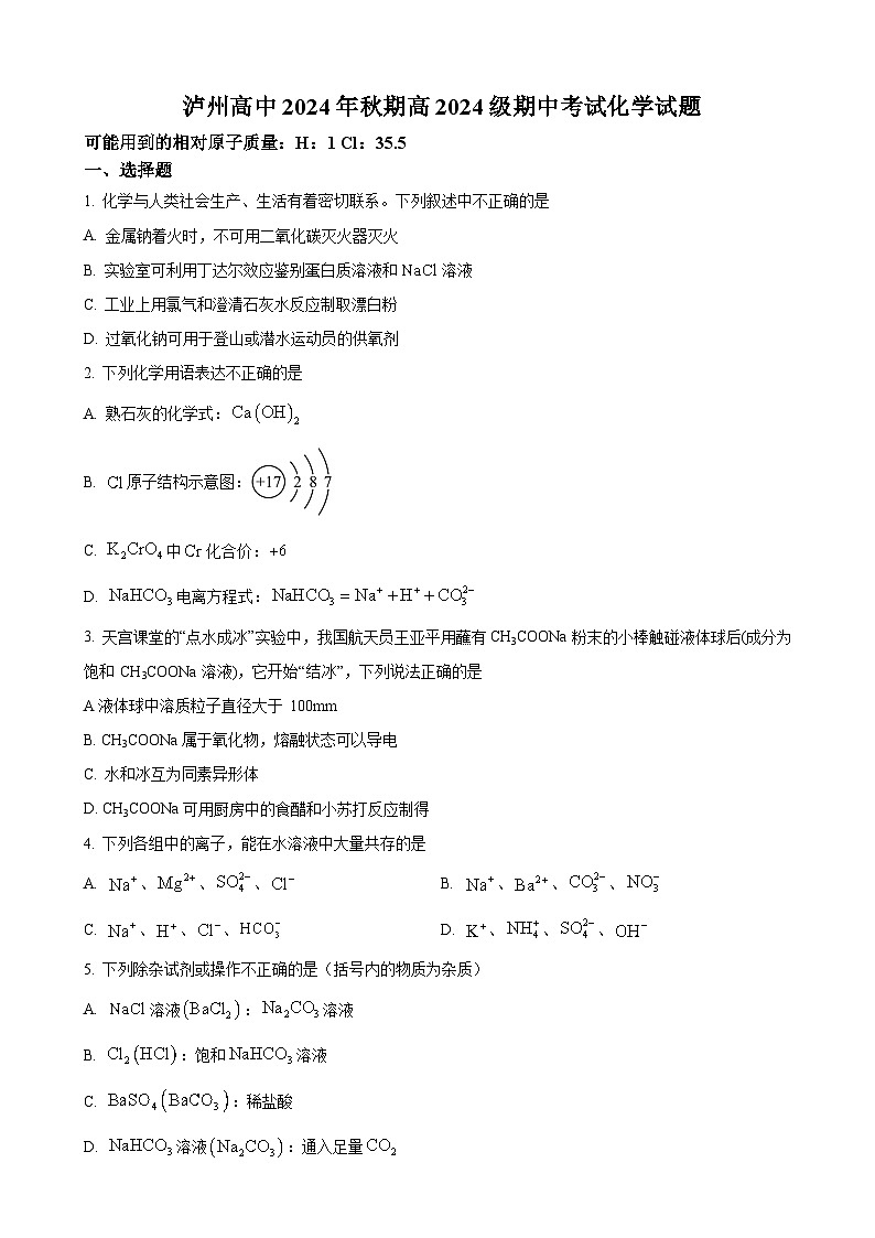 四川省泸州高级中学2024-2025学年高一上学期期中考试化学试题第1页