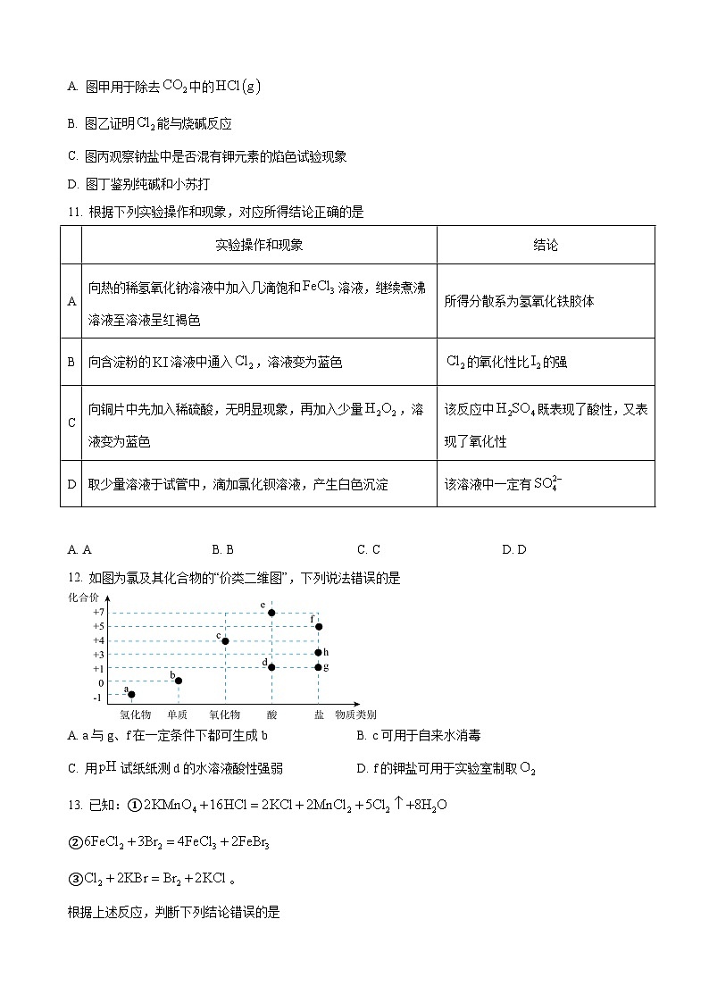 四川省泸州高级中学2024-2025学年高一上学期期中考试化学试题第3页