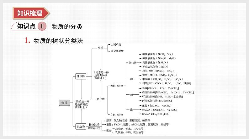 2025年高中化学学业水平总复习  课时1　物质的分类及物质的转化  课件第3页