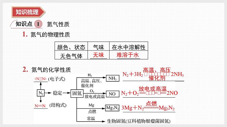 2025年高中化学学业水平总复习  课时10　氮及其化合物  课件第3页