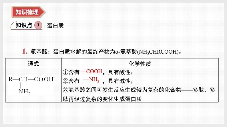 2025年高中化学学业水平总复习  课时19　油脂、糖类、蛋白质  课件第6页