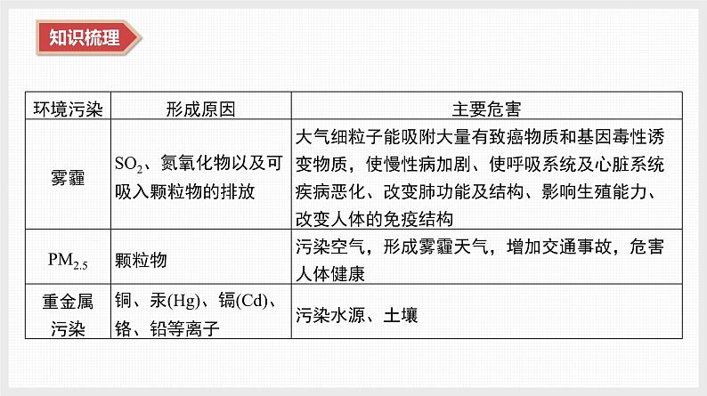 2025年高中化学学业水平总复习  课时21　环境保护  课件第6页