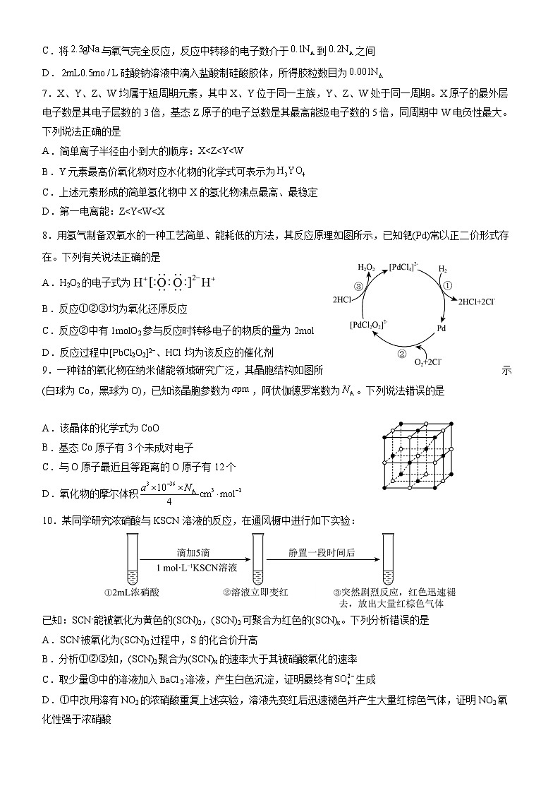 2025年高考化学 选择题标准化练习02第2页