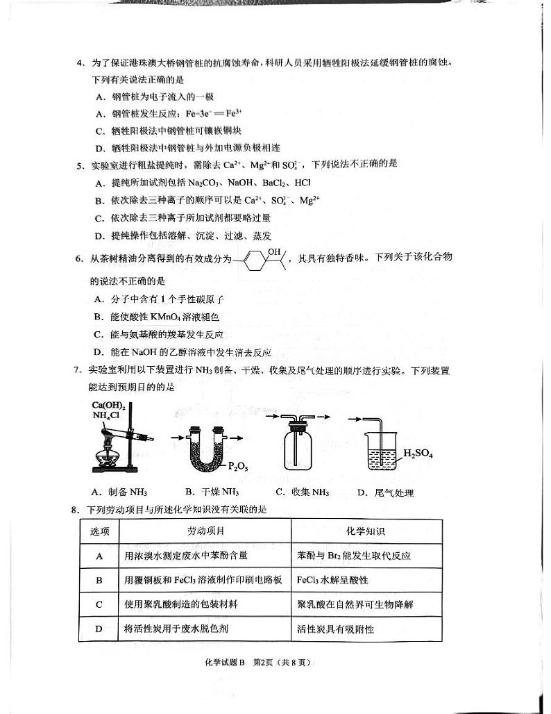 2025届广州市高三上学期12月调研测试化学试题（含答案）第2页