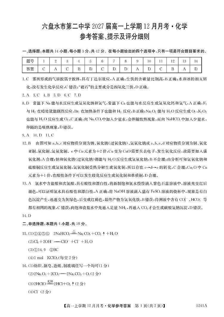 5241A 化学DA第1页