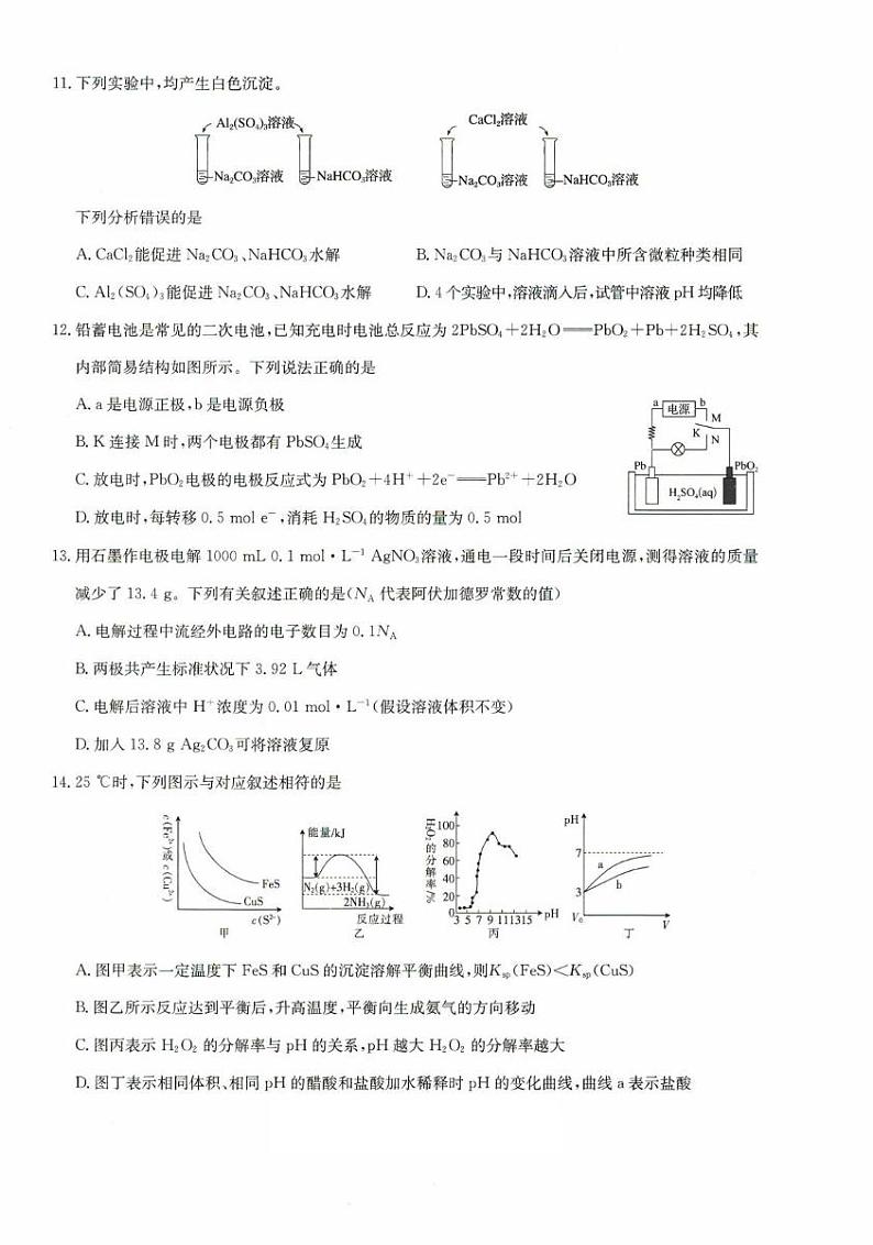 河北省沧州市南皮县南皮县第一中学2024-2025学年高二上学期1月月考化学试题第3页