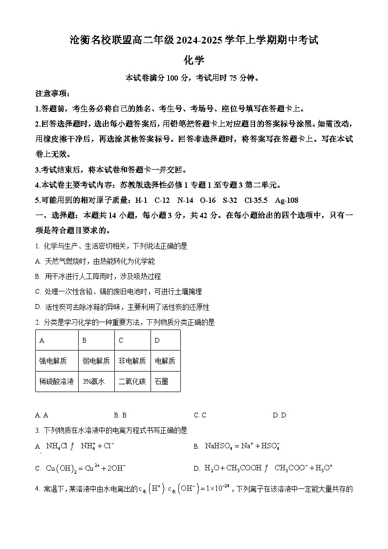 河北省沧州市名校联盟2024-2025学年高二上学期11月期中考试 化学试题  Word版无答案第1页