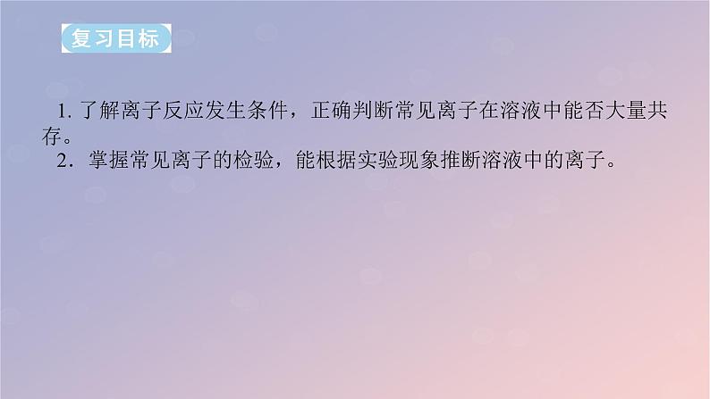 2025版高考化学全程一轮复习第3讲离子共存离子检验与推断课件第2页