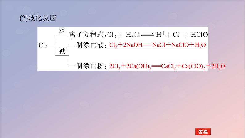 2025版高考化学全程一轮复习第16讲氯及其化合物课件第8页