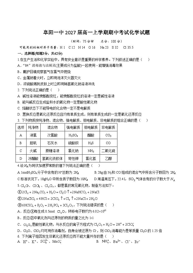 安徽省阜阳第一中学2024-2025学年高一上学期期中考试化学试卷第1页