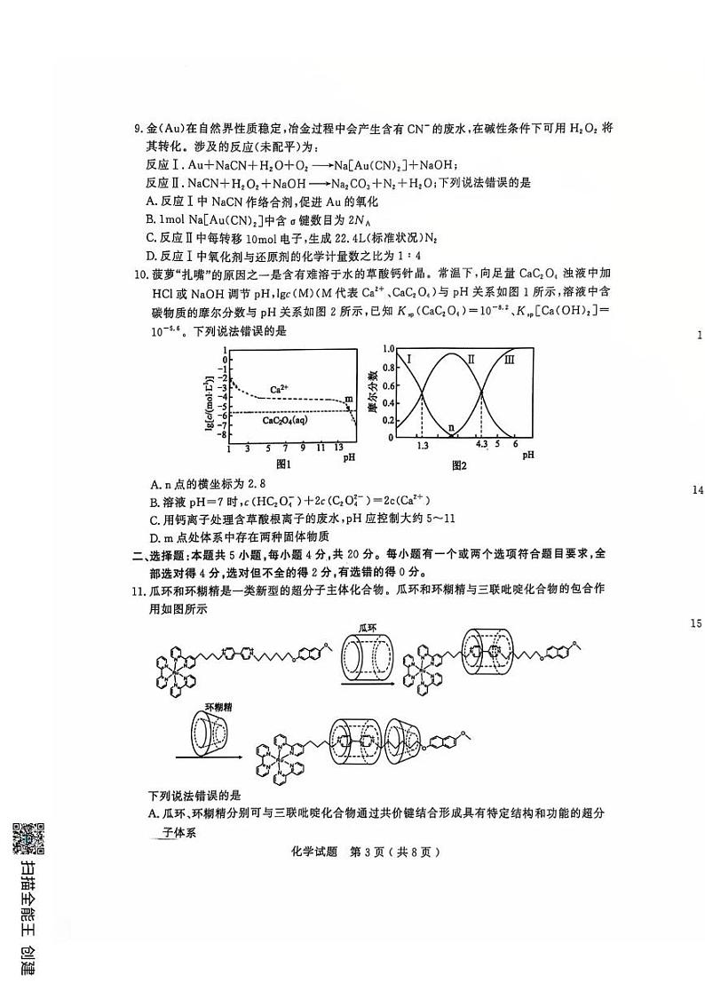 山东省济宁市2024-2025学年高三上学期期末考试 化学试题第3页