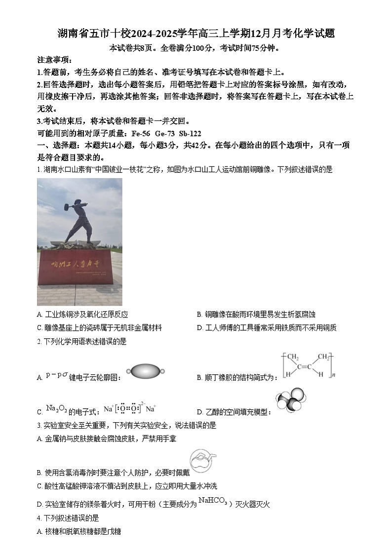 湖南省五市十校2024-2025学年高三上学期12月月考化学试题  Word版无答案第1页
