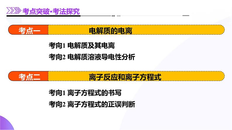 第一部分 第02讲 离子反应、离子方程式（课件）-2025年高考化学二轮复习课件PPT第8页