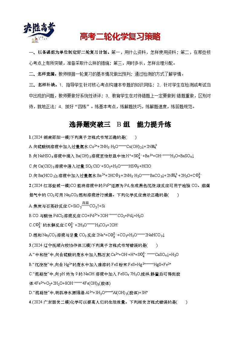 2025年高考化学二轮复习专练 大单元 选择题突破3 B组（通用版，含解析）第1页