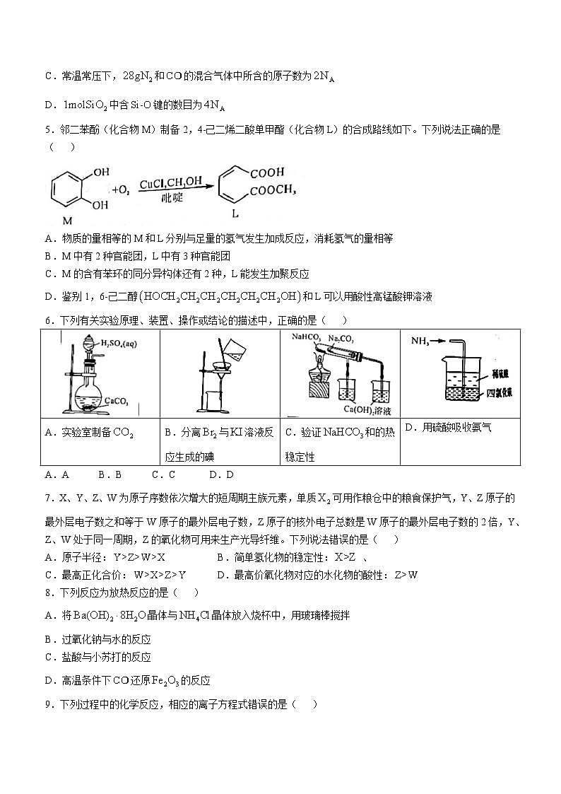 河南省金科新未来2024-2025学年高三上学期10月联考化学试卷+答案第2页