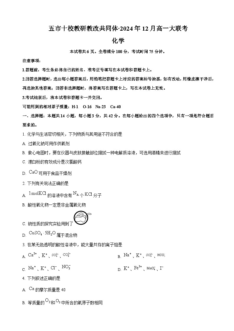 湖南省五市十校教研教改共同体2024-2025学年高一上学期12月联考化学试卷第1页