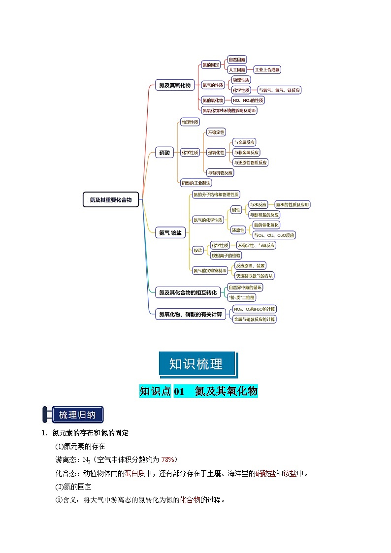 专题11 氮及其重要化合物-2025年高考化学一轮复习知识点（新高考专用）（解析版）第2页