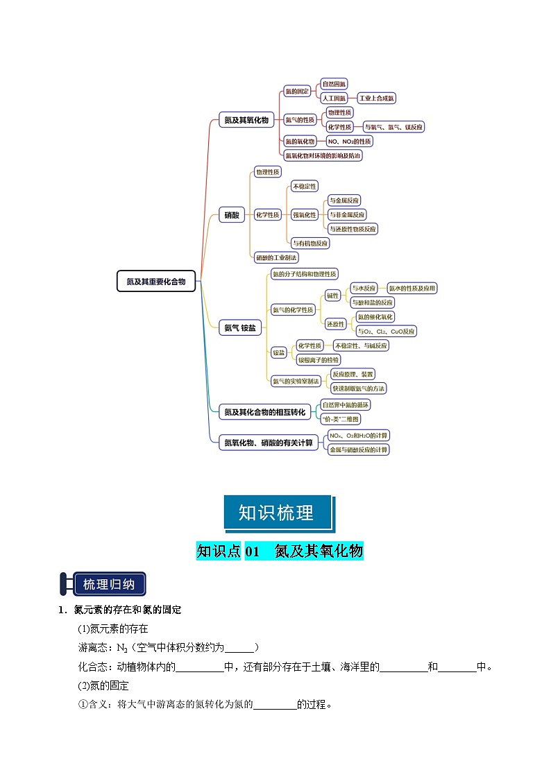 专题11 氮及其重要化合物-2025年高考化学一轮复习知识点（新高考专用）（原卷版）第2页