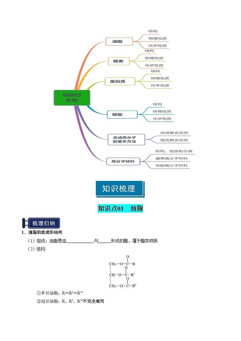 专题28 生物大分子、合成高分子（原卷版）第2页