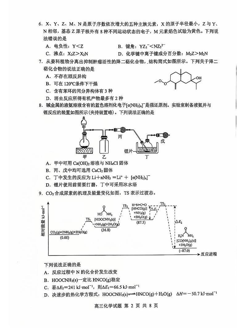 山东省淄博市2025届高三期末摸底质量检测-化学试卷第2页