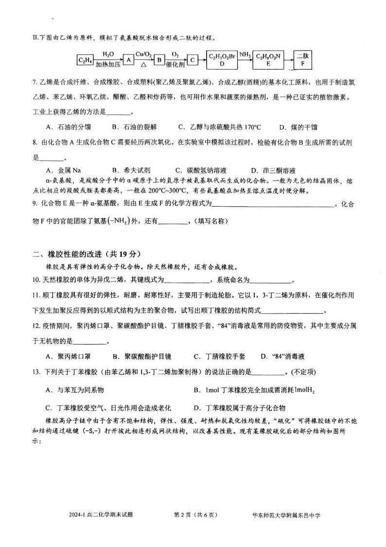 上海市华东师范大学附属东昌中学2024-2025学年高二上学期期末考试 化学试卷第2页