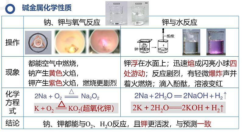 4.1.3碱金属元素和卤族元素 课件2024-2025学年高一上学期化学人教版（2019）必修一第6页