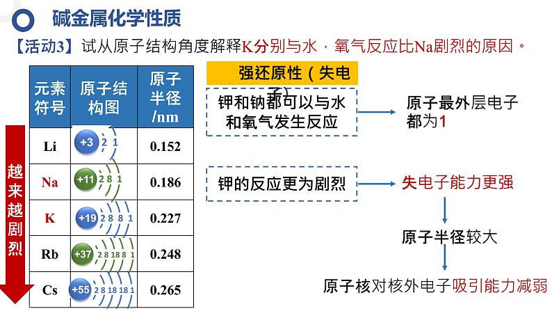 4.1.3碱金属元素和卤族元素 课件2024-2025学年高一上学期化学人教版（2019）必修一第7页