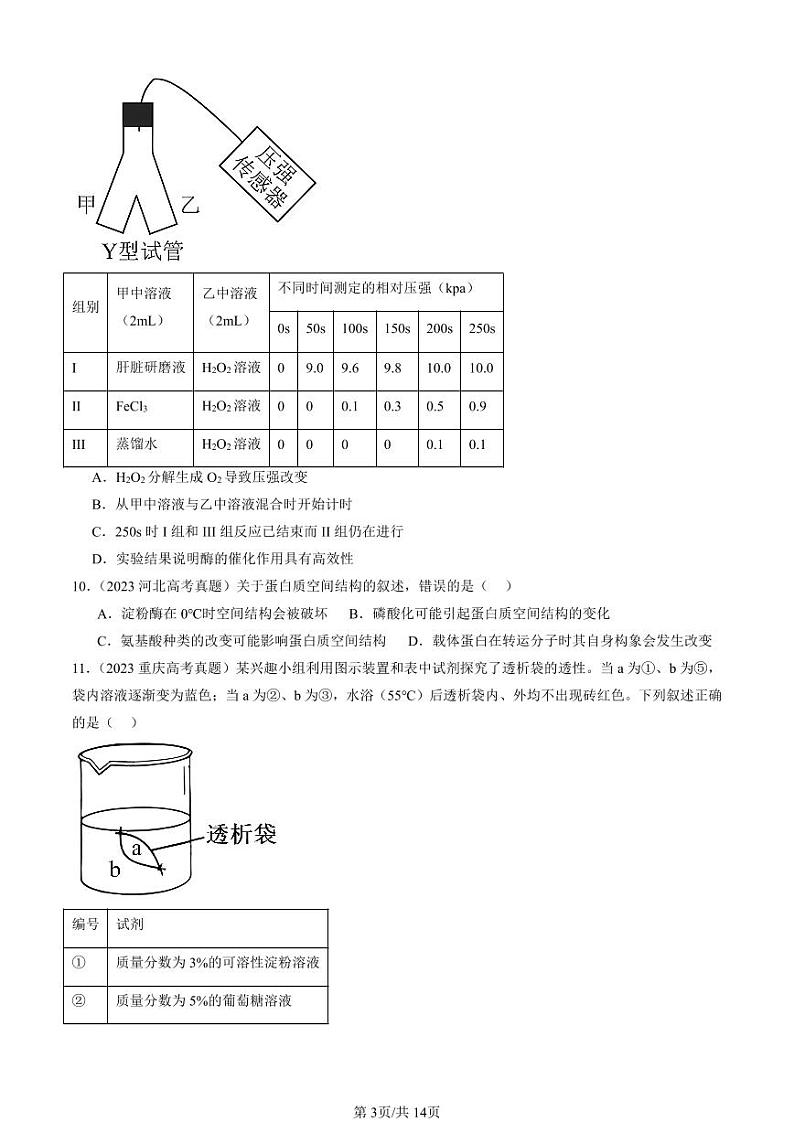 2022-2024全国高考真题生物汇编：降低化学反应活化能的酶第3页