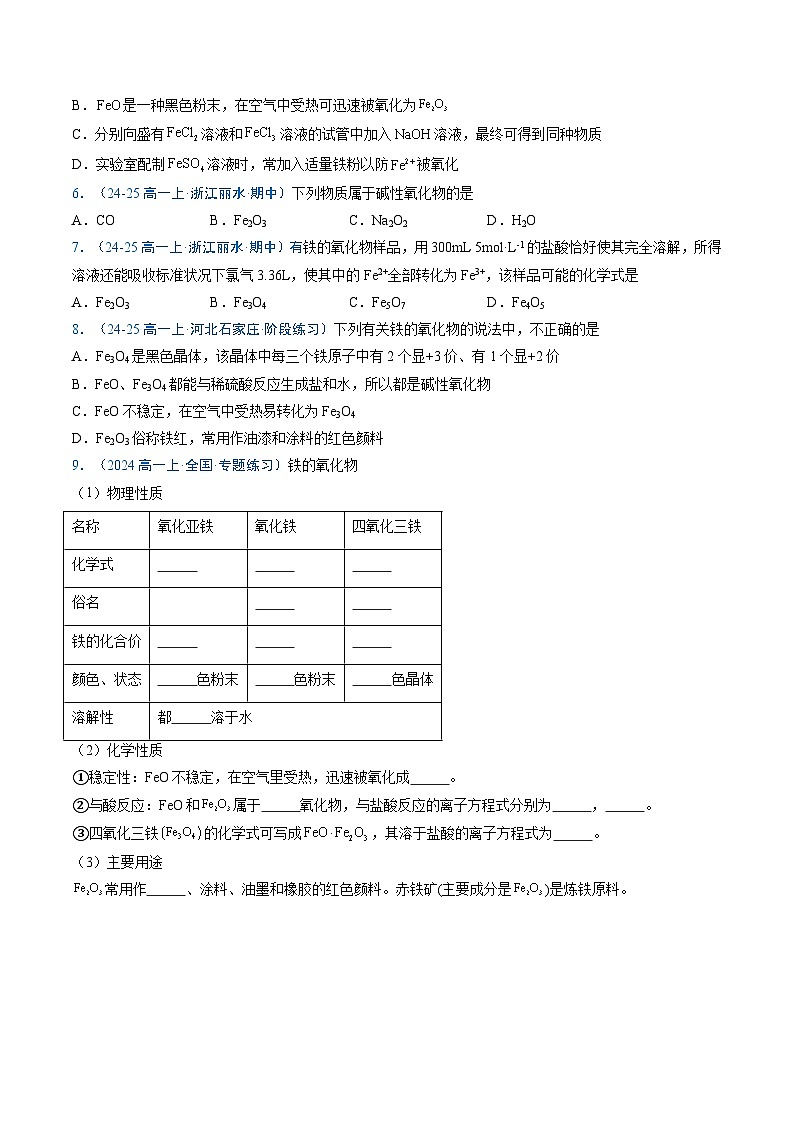 ③寒假提升练-专题07 铁及其化合物（学生版）-2025年高一化学寒假衔接讲练 (人教版) 第3页