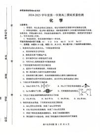 山东省淄博市2024-2025学年第一学期高三期末摸底质量检测化学试题