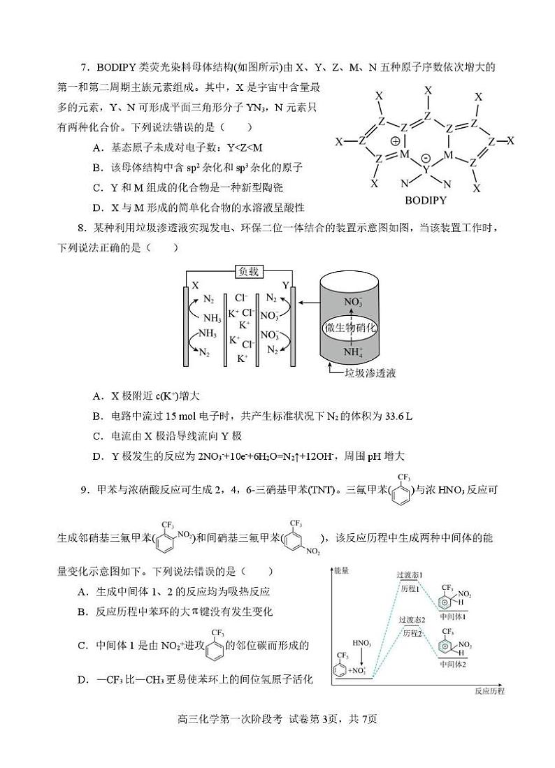 福建省南安第一中学2024-2025学年高三上学期第一次阶段测试化学试题第3页